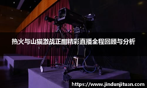 热火与山猫激战正酣精彩直播全程回顾与分析