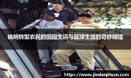 姚明转型农民的田园生活与篮球生涯的奇妙碰撞